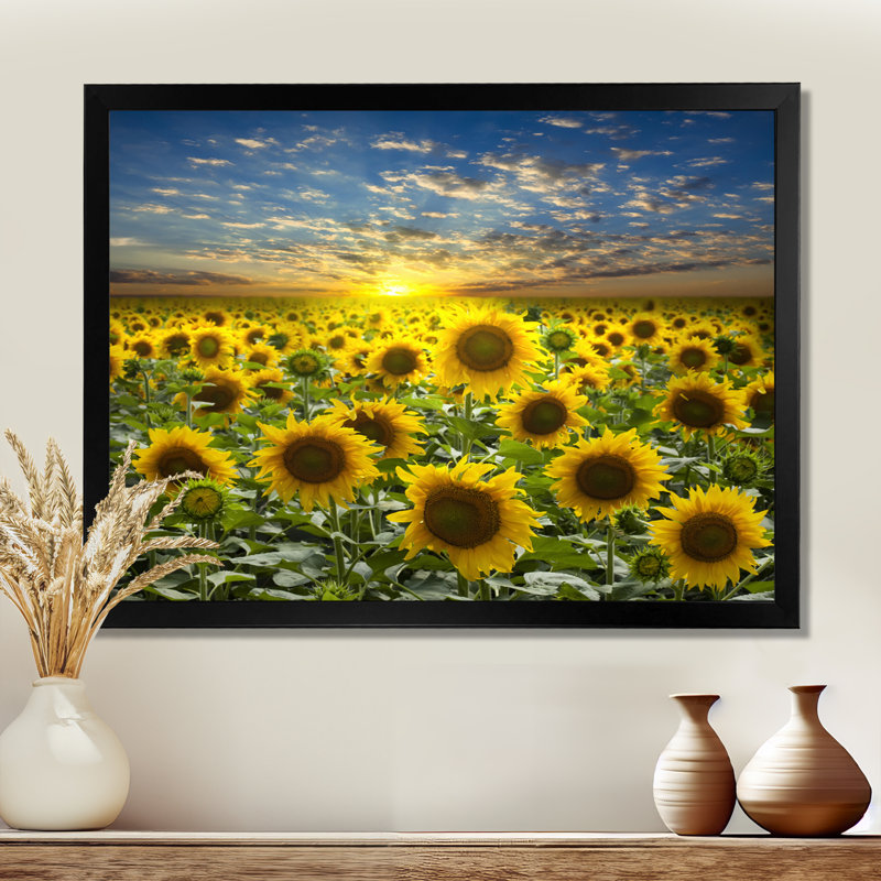 Champ de tournesols en fleurs - reproduction d'art sur bois massif, H 34 po x l 44 po, Impression encadrée, Noir