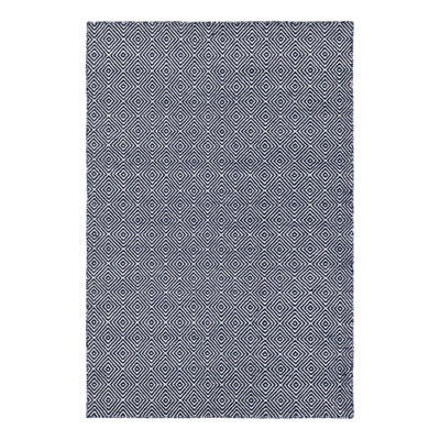 Traetyn Flatweave Wool Indoor Rug