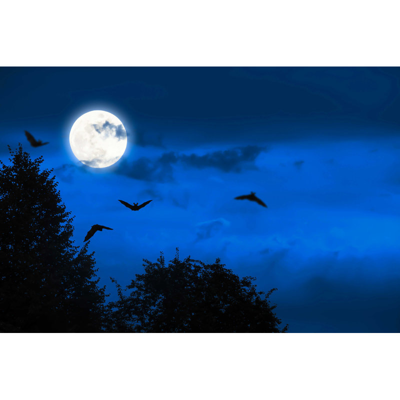 Mystic Halloween fond par Winyuu - photographie sur toile tendue, H 8 po x l 12 po