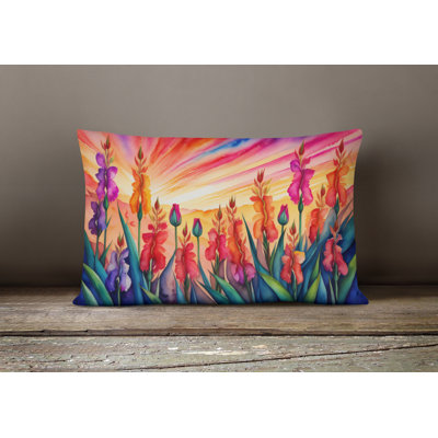 Other/No Pattern Outdoor Throw Pillow