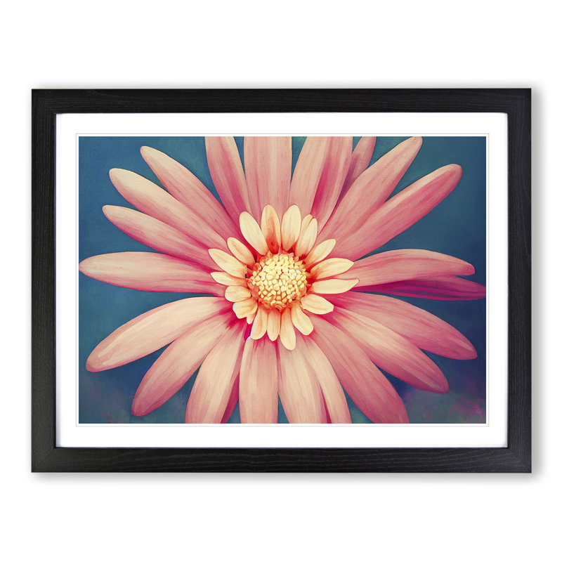 Ingenious Daisy Flower - Single Picture Frame Print, 46cm H x 64cm W x 2cm D, Black