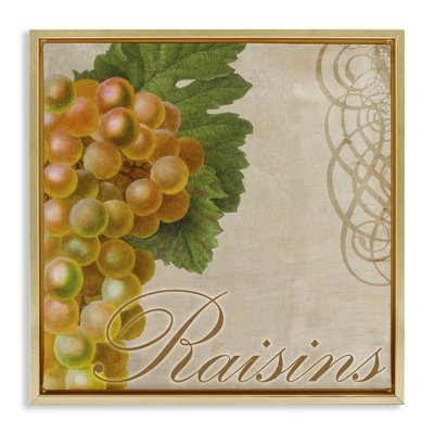 Vintage French Grapes Framed Floater Canvas Wall Art by Sasha
