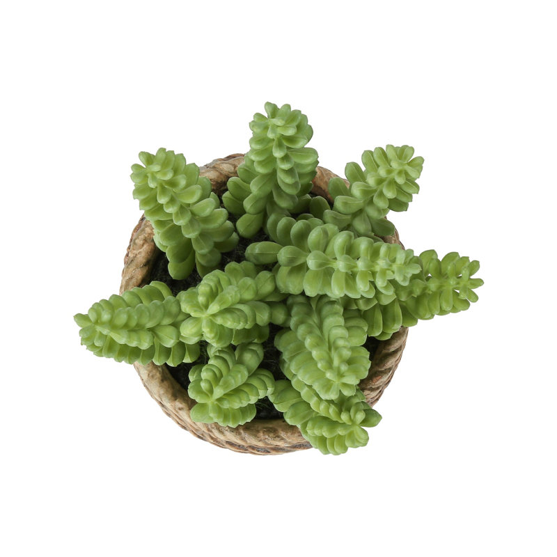 Artificial Succulent In Cement Pot