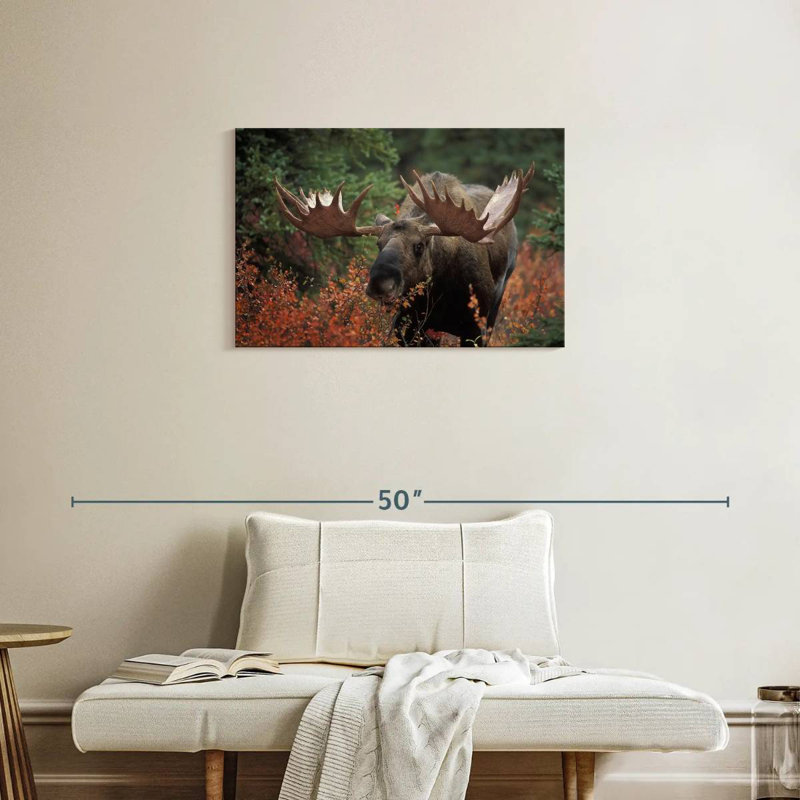 Repas Brampt Moose Forest, H 20 po x l 30 po