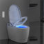 Ada Height Tankless Smart Bidet Toilet, Auto Open/Close, Auto Flush, Blackout Flush,Heated Seat, Warm Wash, Dryer