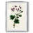 In the Moment I -Gallery Wrapped Canvas