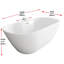Baignoire de 67 pouces en blanc brillant avec garniture-105506260
