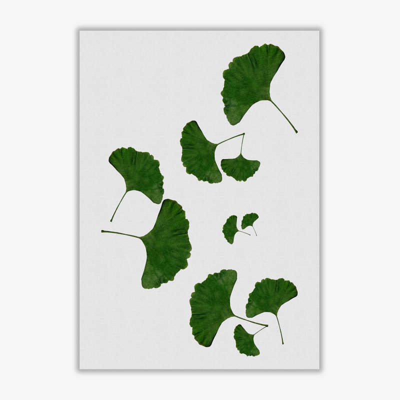 Ginkgo Leaf I - Print, No Frame, 42 cm H x 30 cm W x 1 cm D