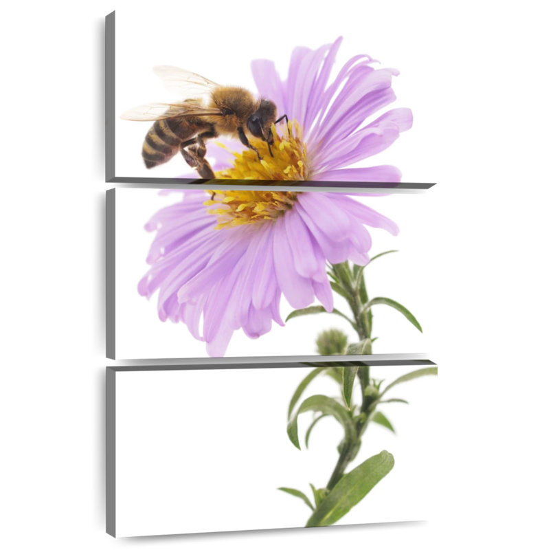 Brampt Bee On Flower, 38" H x 24" W