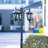 Dilsey Transparent Lamp Post (Full)