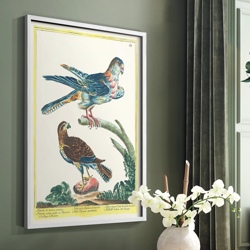 Pastel Birds III Framed Print - Solid Wood, 20" H x 16" W, White