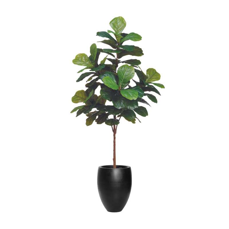 Daytona Faux Fiddle Leaf Fig Tree in Fiberstone Planter, Black