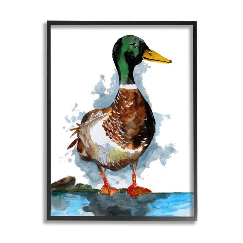 «Mallard Duck Water's Giclee Art» par Sebastian Grafmann, Giclée encadrée noir minuit, H 14 po x l 11 po x P 1,5 po