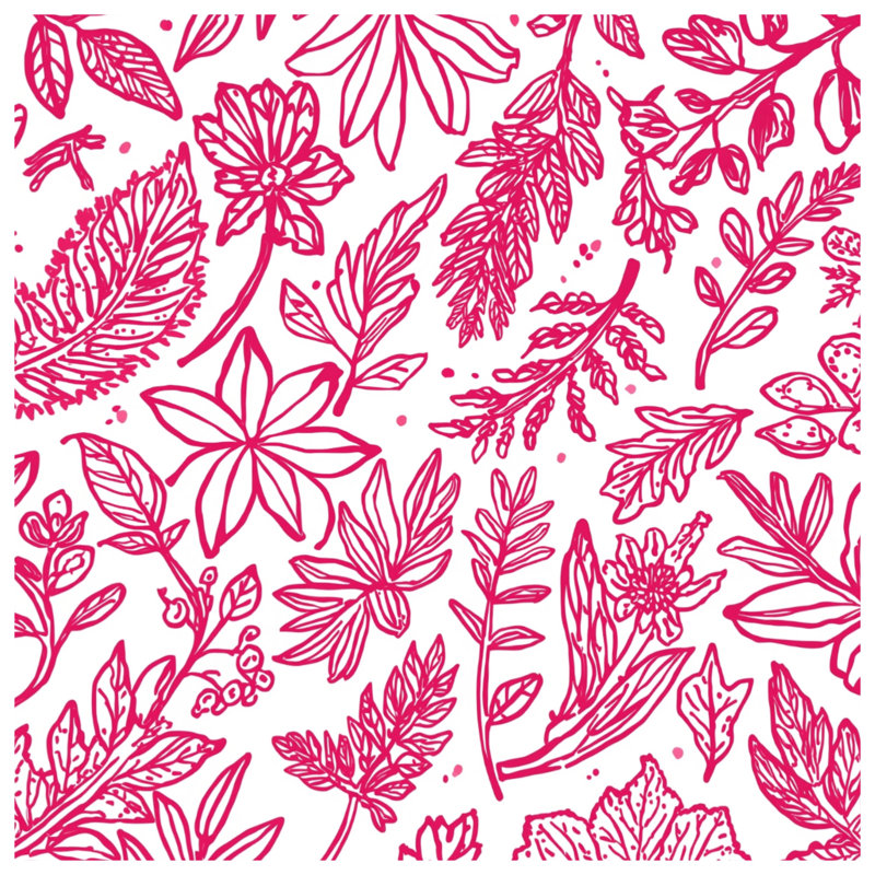 Tapis de bain rose Botanical Illustration, L 34 po x L 21 po