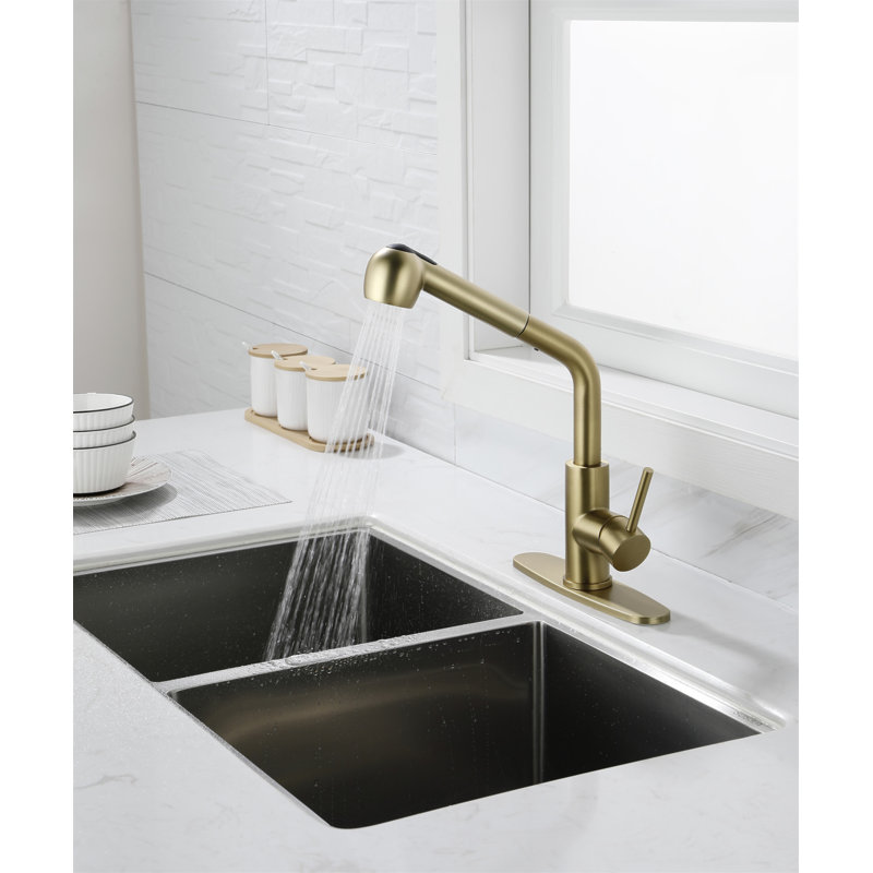 Utility Sink Faucets Single-Handle Pull-Out Laundry Faucet With Dual Spray Function In Stainless Spot Resistant, Gold