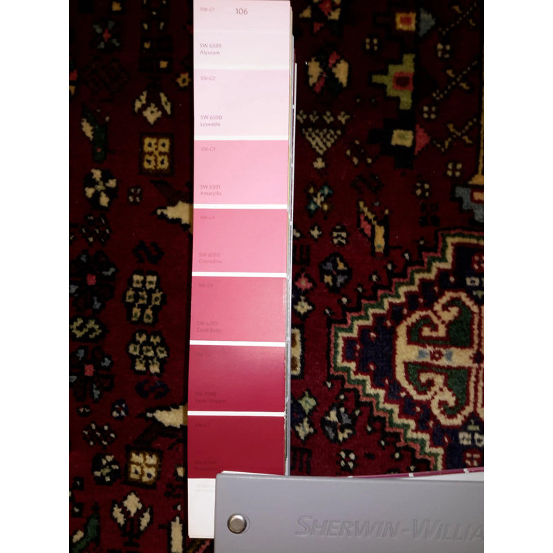 Orfelinda Oriental Area Rug in Red