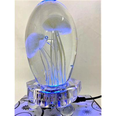 Cloche ou globe d'eau Graford Jellyfish