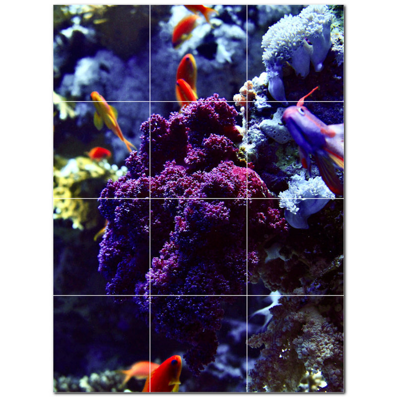 6 x 6