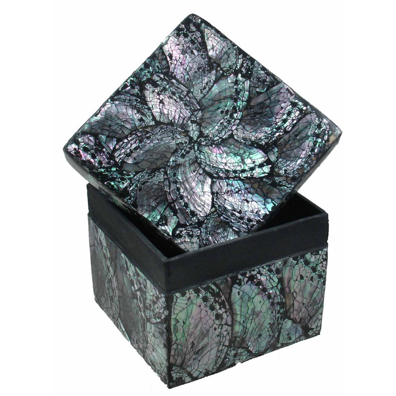 Ensemble de boîtes carrées scintilling shells