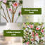 120cm Plant-1140374908