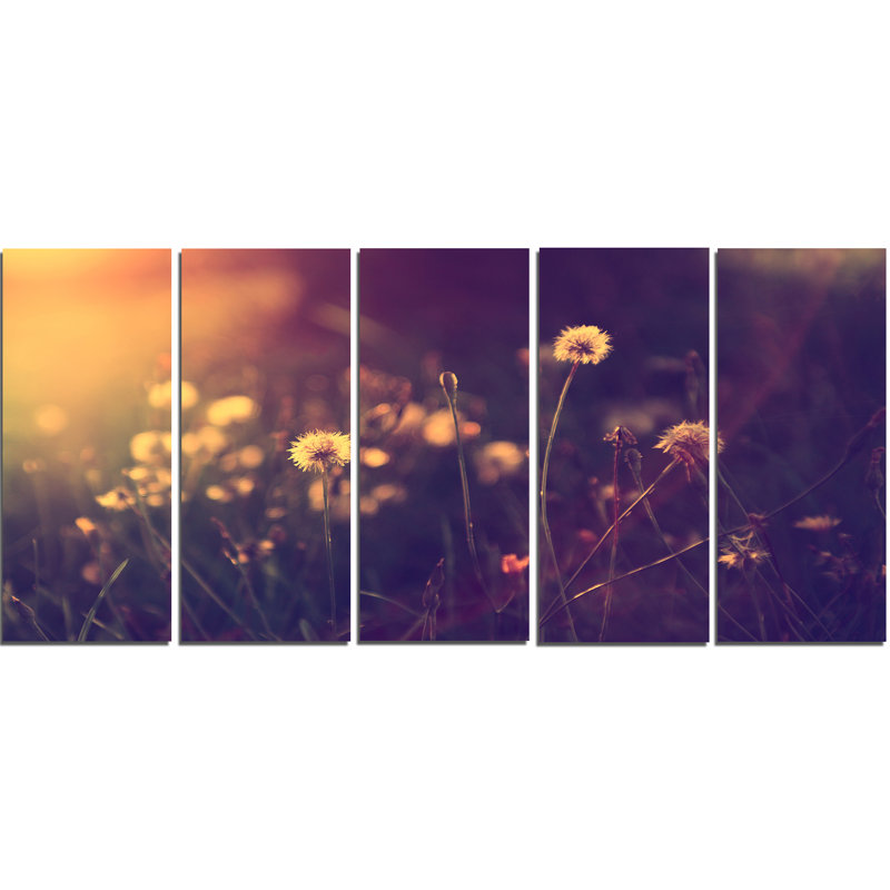 Vintage Dandelion Meadow Photo Print on Canvas