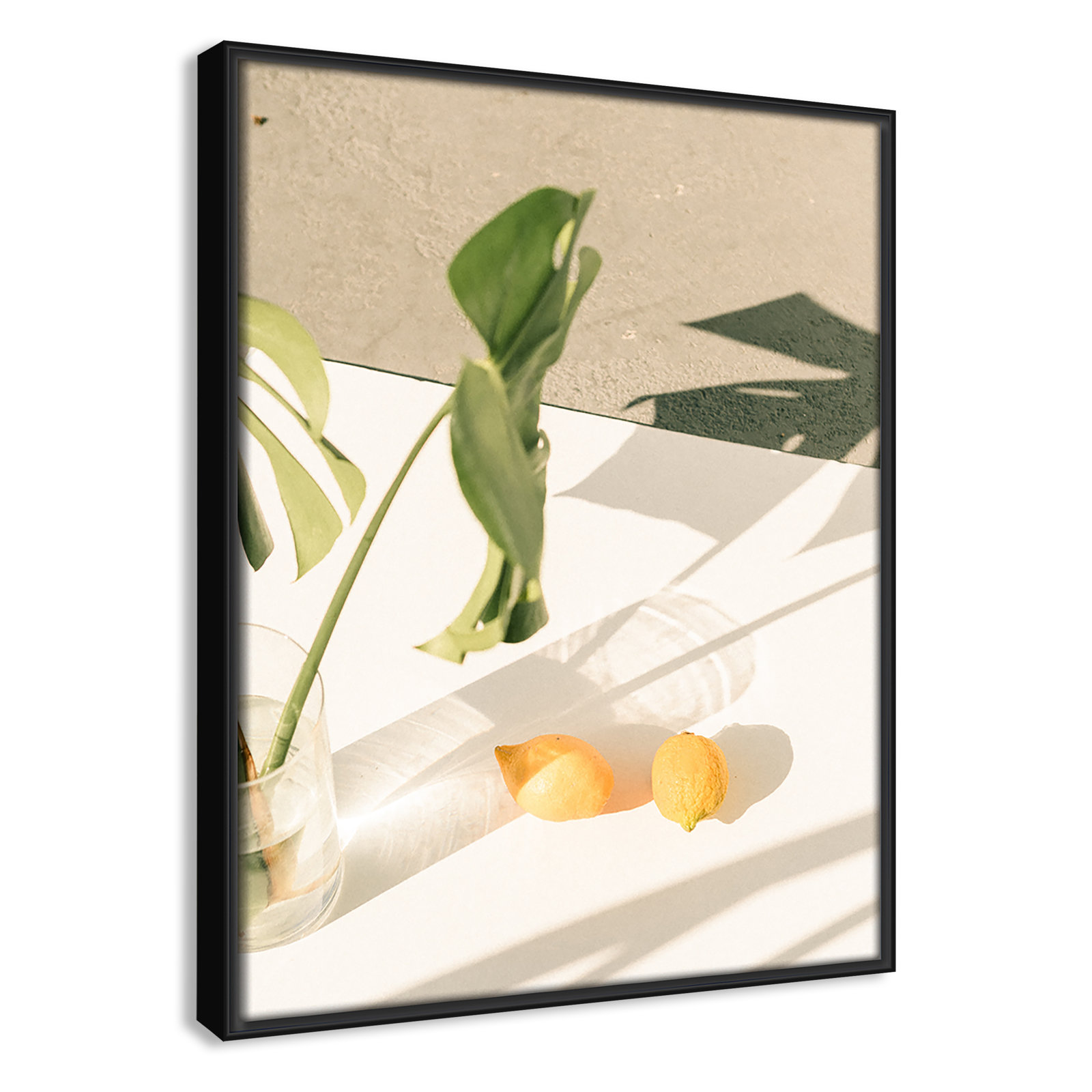 Citrus and Palms Print, 15.5'' H x 12.5'' W x 2'' D, Black Framed