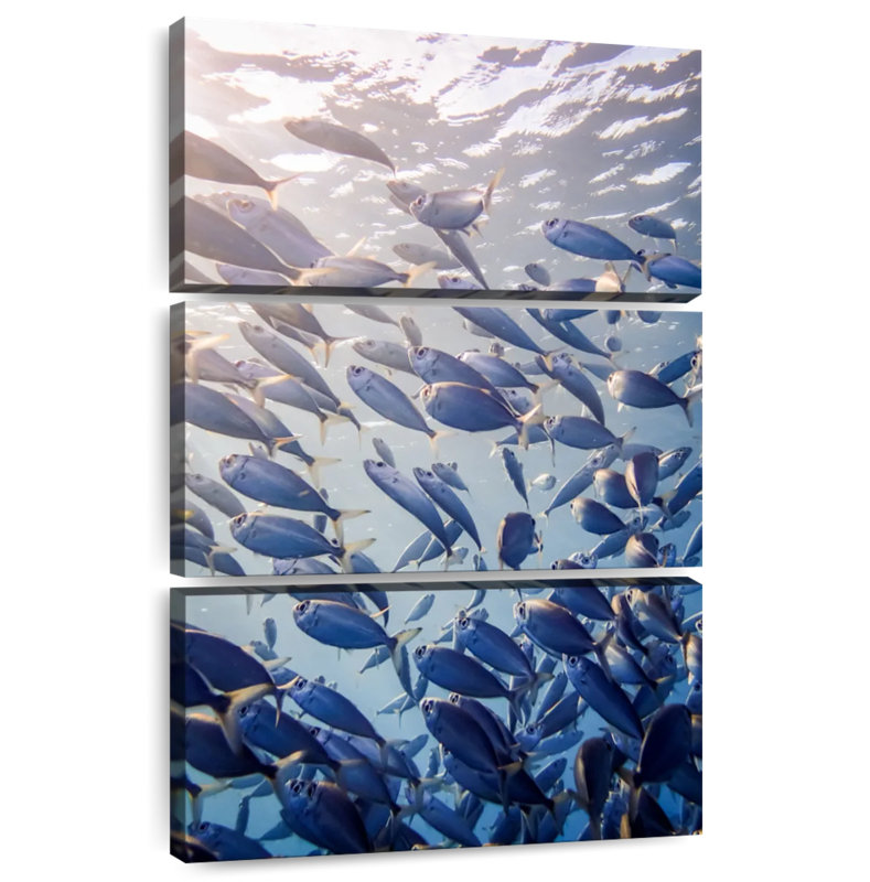 Brampt Curacao Fish, 32" H x 20" W