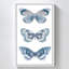 "Panneau de papillon blanc" par Danhui Nai, reproduction sur toile dans un cadre flottant blanc-110965638-110965633