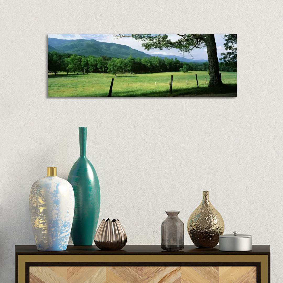 Parceled Meadow, Cades Cove, Great Smoky Mountains National Park, Tennessee, USA - Wrapped Canvas Panoramic Print