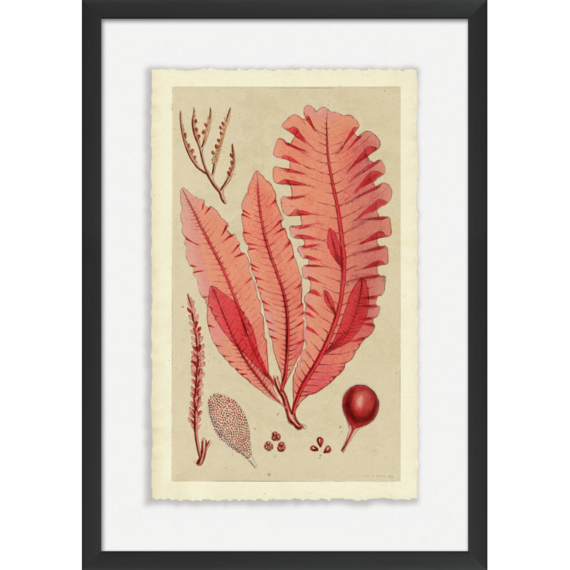 Modern Sea Grass II Painting