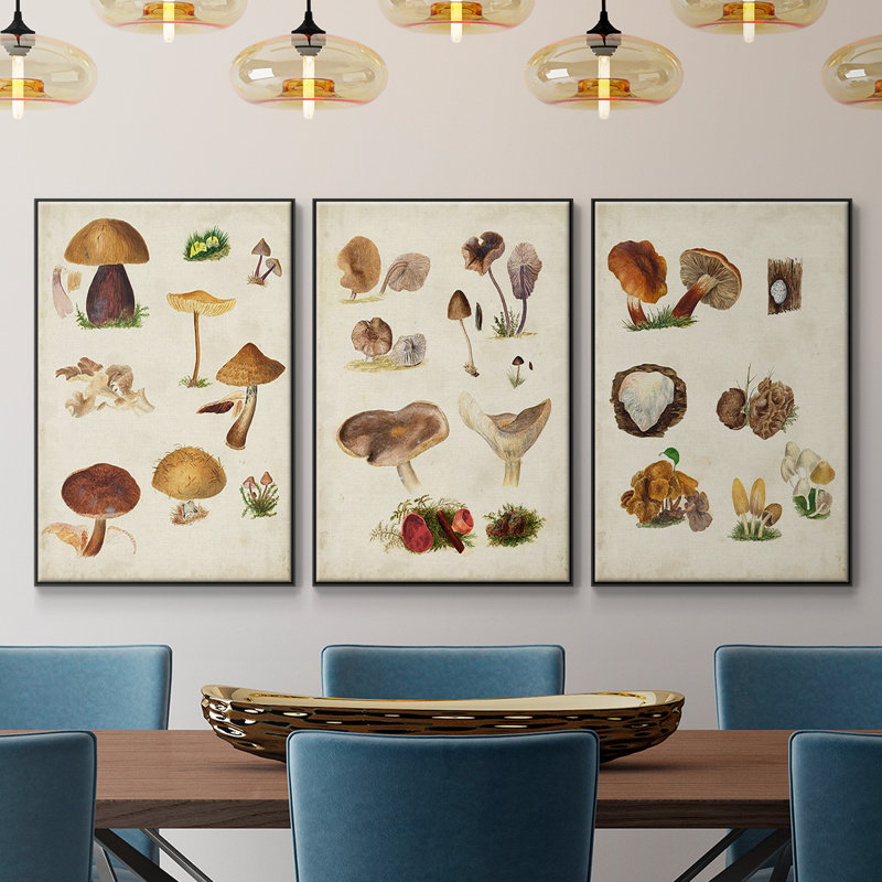 " Mushroom Species I " 3 - Pieces, H 24 po x l 48 po x P 2 po, Noir