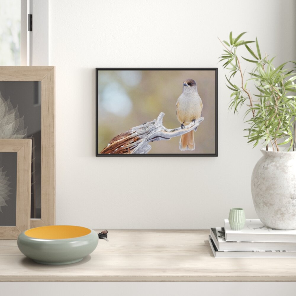 Gerahmtes Wandbild kleiner Vogel auf Ast