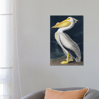 Pelican_1PC6