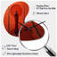 Horloge murale Winborne-1757015616