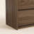 Arden Modern 31.5" W 5 Drawer Chest