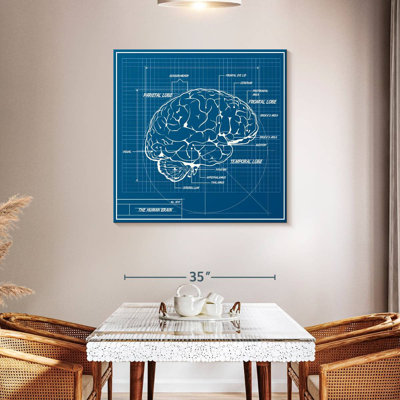 Schéma du cerveau humain Keiri
