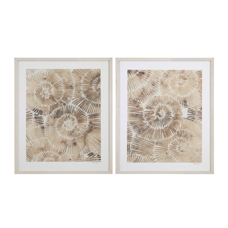 Fossil Nautilus, ensemble de 2 reproductions encadrées - Édition limitée, art de grange