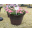 Sagamore Planter-35321489