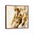 Classic Wood Floater Frame is unavailable