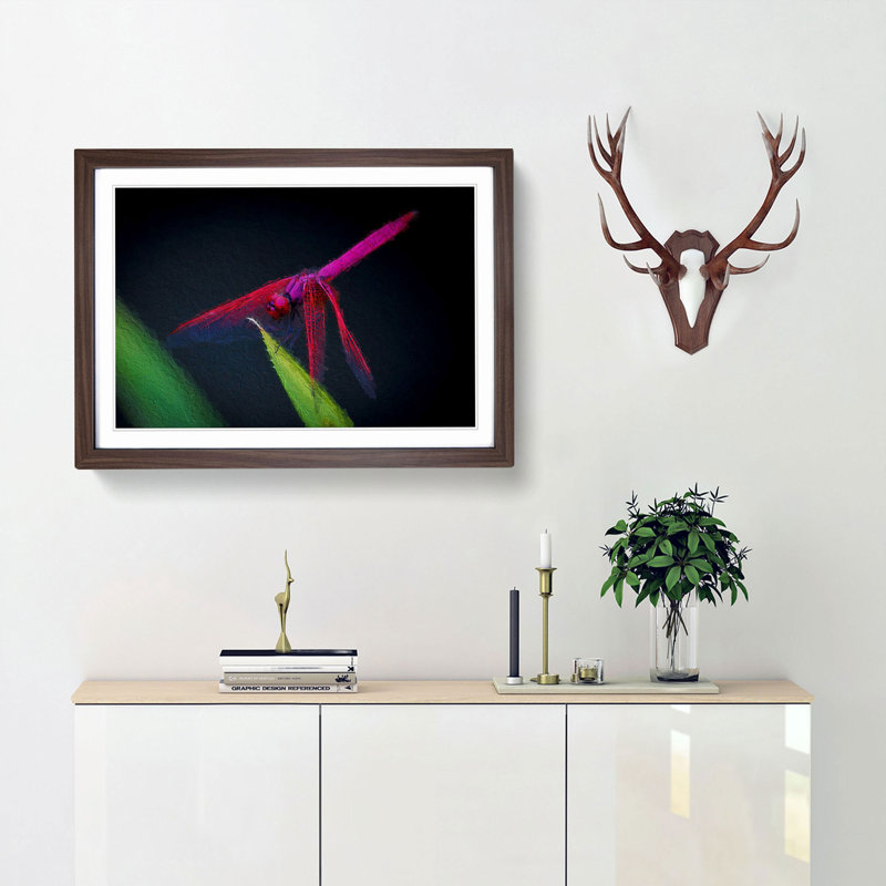 Dragonfly - Picture Frame Painting Print, Walnut Framed, 48cm H x 65cm W x 2cm D