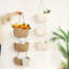 Wall Organizer