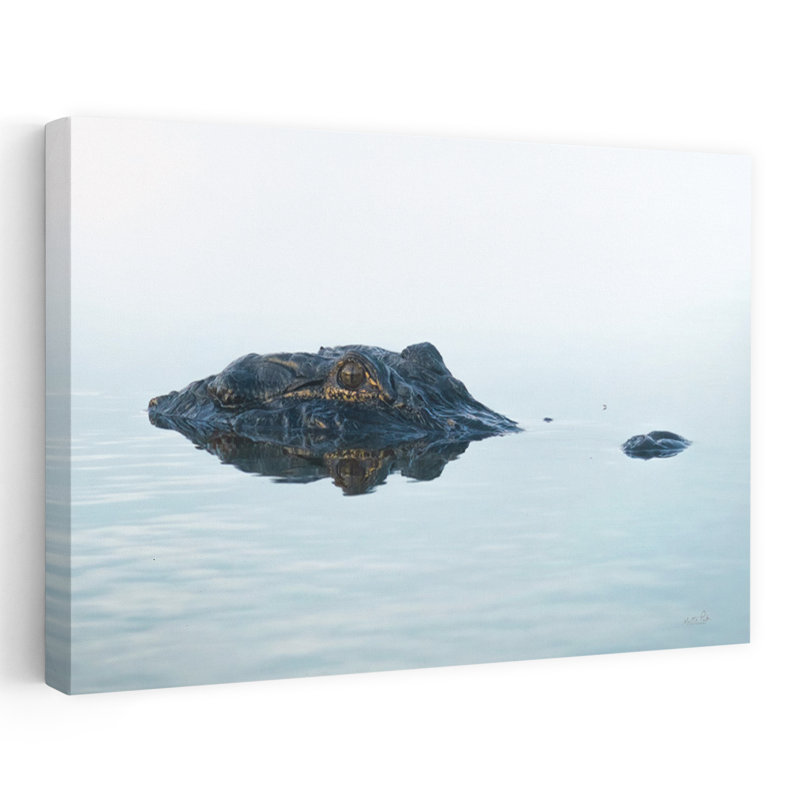 Alligator, alligator, art côtier, océan, H 16 po x l 24 po
