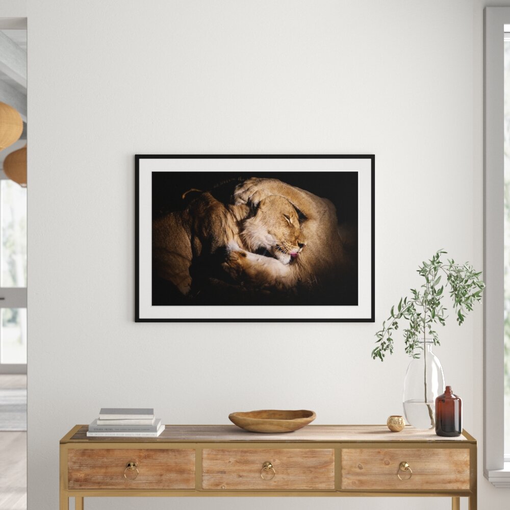 Löwe und Löwin kuscheln gerahmt Fotokunstdruck Poster