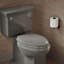 Lustra with Quick-Release Hinges Toilet Seat-286980270-342726762