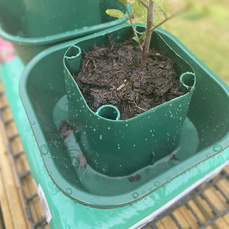 Cezar Pot Planter, 3