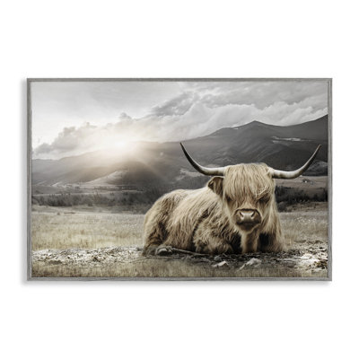 Cattle Resting in Morning Sun Framed Giclee, design by CAD Designs