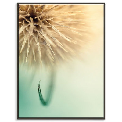 Print on Canvas