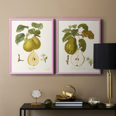 Vintage Pears III-Premium Framed Print -Ready to Hang - No Nails Required - No Nails Required