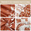  Marilla 3 Piece Terracotta  Floral Comforter Set-110315626-110315624