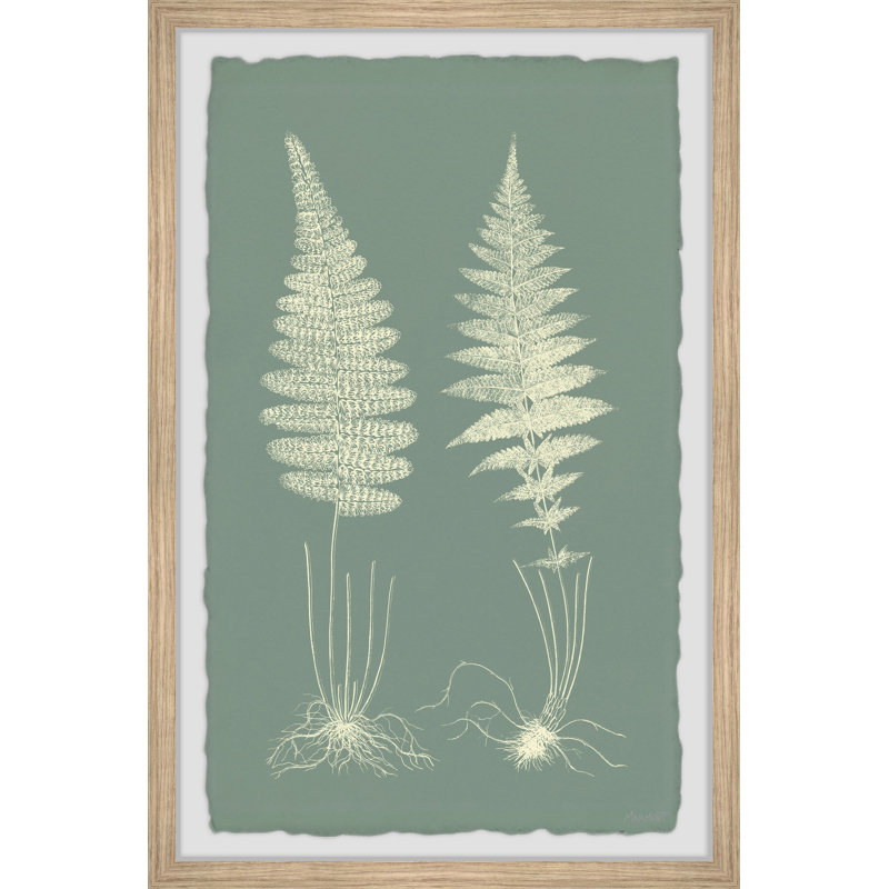 Ferns On Sage VI by Marmont Hill - Single Picture Frame Painting, 20cm H x 30cm W